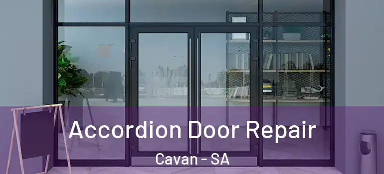 Accordion Door Repair Cavan - SA