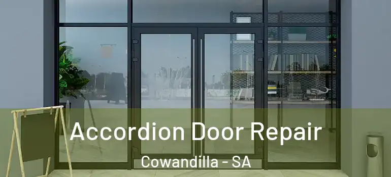 Accordion Door Repair Cowandilla - SA