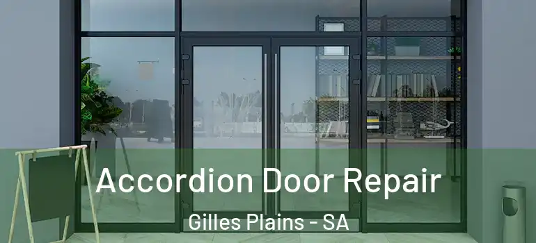 Accordion Door Repair Gilles Plains - SA