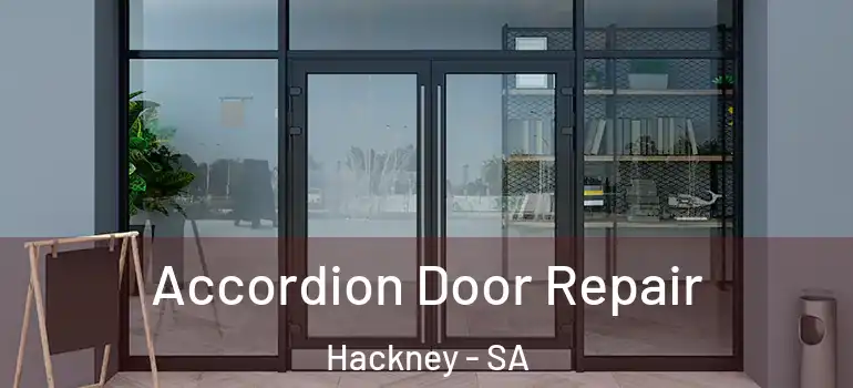 Accordion Door Repair Hackney - SA