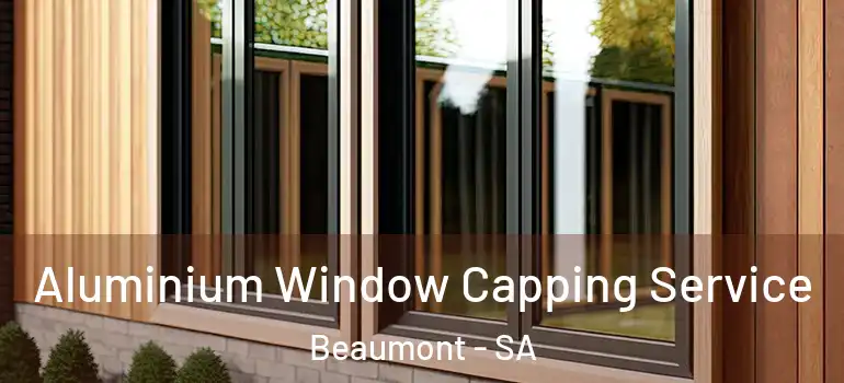 Aluminium Window Capping Service Beaumont - SA