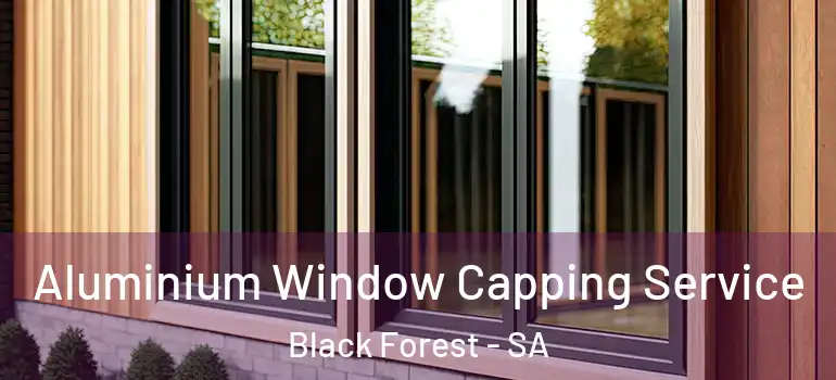  Aluminium Window Capping Service Black Forest - SA