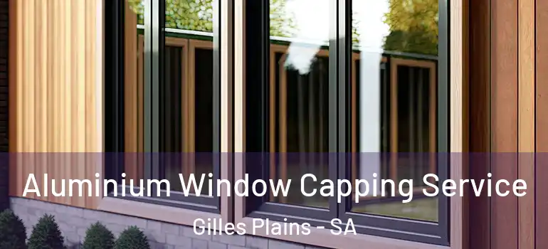 Aluminium Window Capping Service Gilles Plains - SA