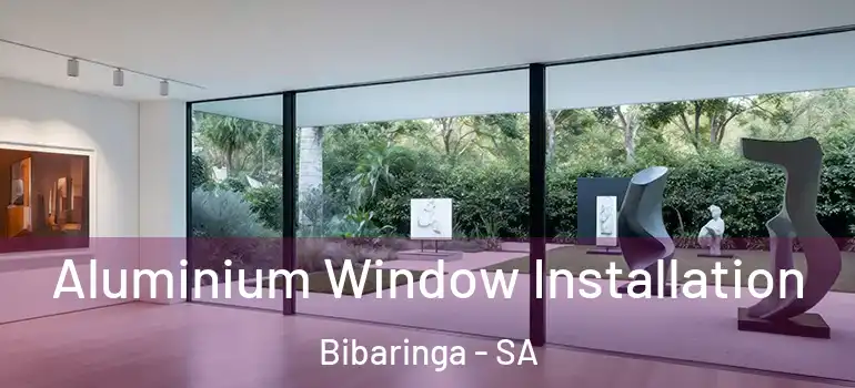Aluminium Window Installation Bibaringa - SA