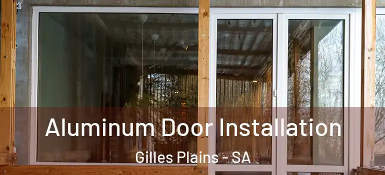 Aluminum Door Installation Gilles Plains - SA
