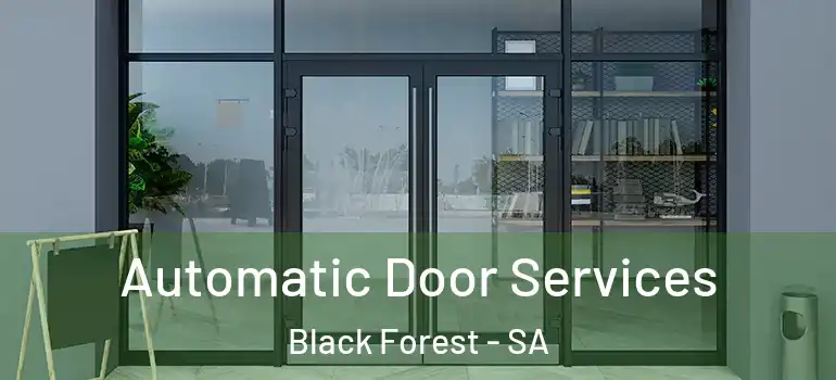 Automatic Door Services Black Forest - SA