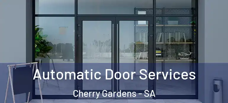 Automatic Door Services Cherry Gardens - SA