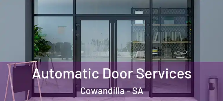Automatic Door Services Cowandilla - SA