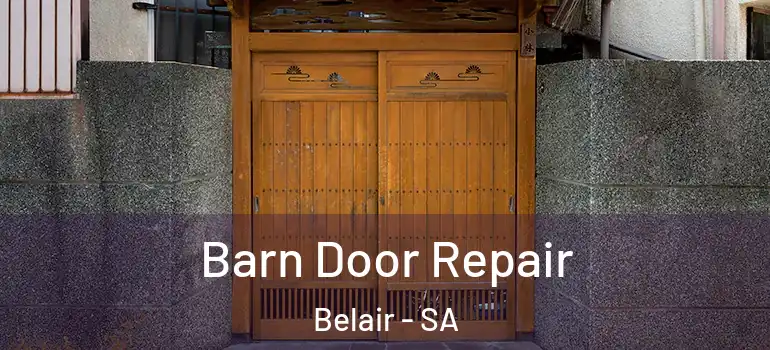 Barn Door Repair Belair - SA