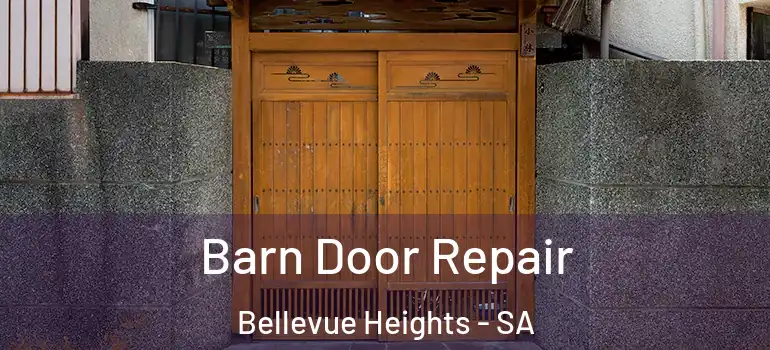 Barn Door Repair Bellevue Heights - SA