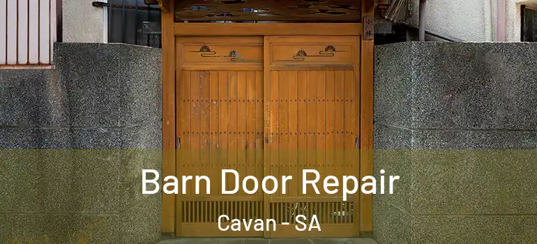Barn Door Repair Cavan - SA