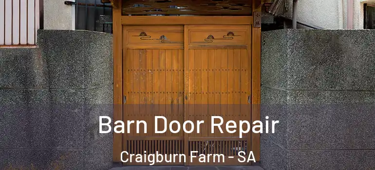 Barn Door Repair Craigburn Farm - SA
