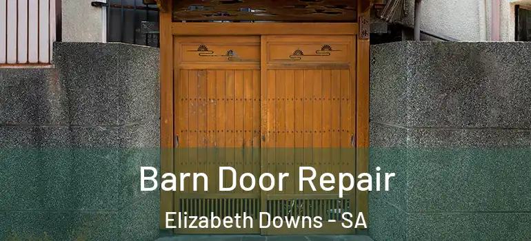 Barn Door Repair Elizabeth Downs - SA