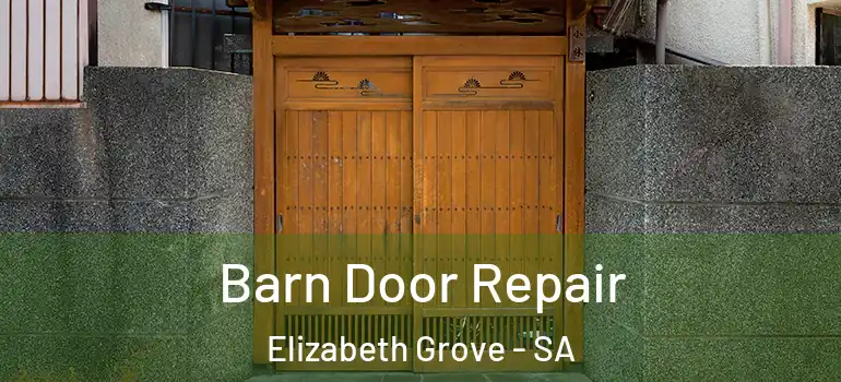 Barn Door Repair Elizabeth Grove - SA