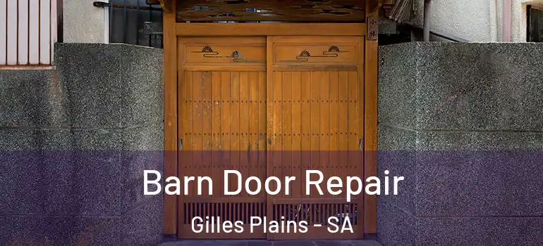 Barn Door Repair Gilles Plains - SA