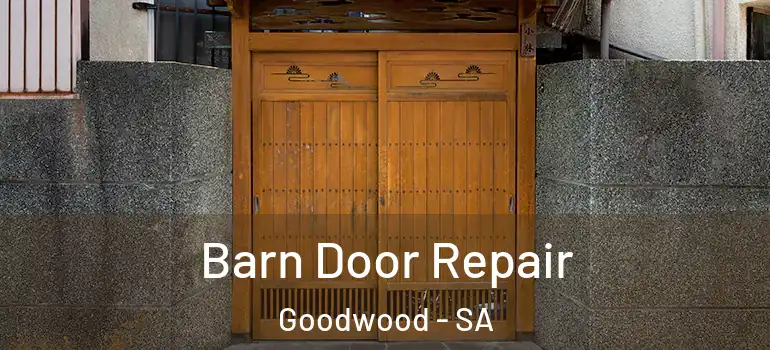 Barn Door Repair Goodwood - SA