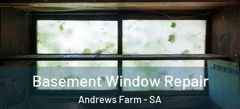 Basement Window Repair Andrews Farm - SA
