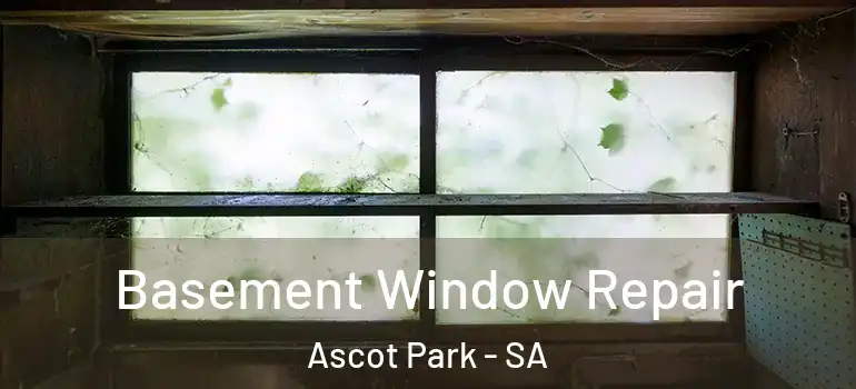 Basement Window Repair Ascot Park - SA