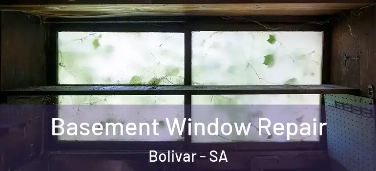 Basement Window Repair Bolivar - SA