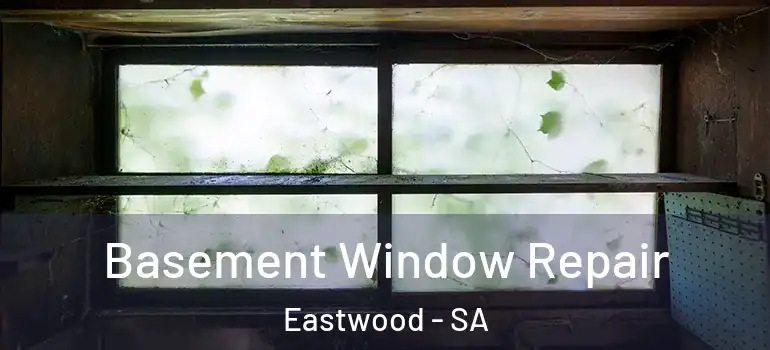 Basement Window Repair Eastwood - SA
