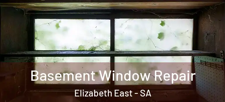 Basement Window Repair Elizabeth East - SA