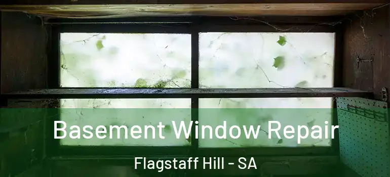 Basement Window Repair Flagstaff Hill - SA