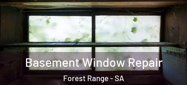 Basement Window Repair Forest Range - SA