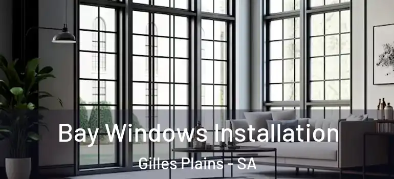 Bay Windows Installation Gilles Plains - SA
