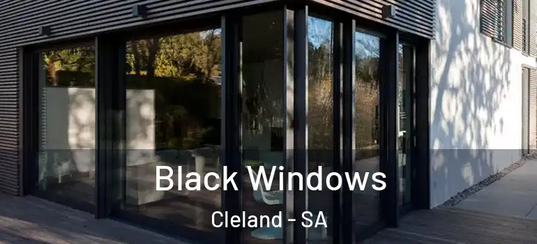 Black Windows Cleland - SA