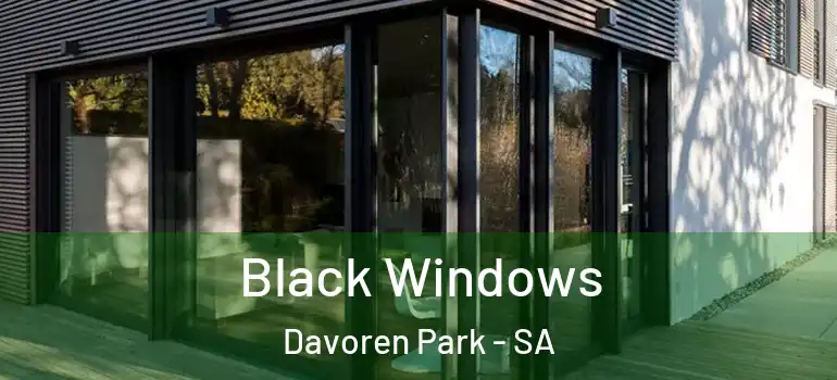 Black Windows Davoren Park - SA