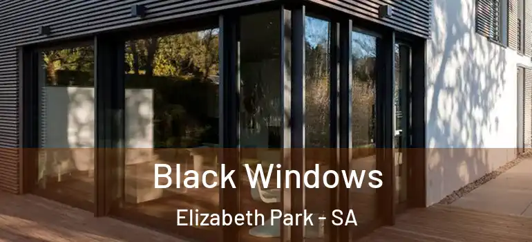 Black Windows Elizabeth Park - SA