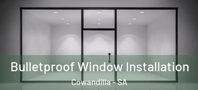 Bulletproof Window Installation Cowandilla - SA