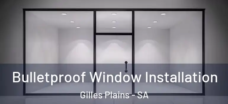 Bulletproof Window Installation Gilles Plains - SA