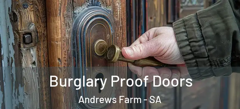 Burglary Proof Doors Andrews Farm - SA