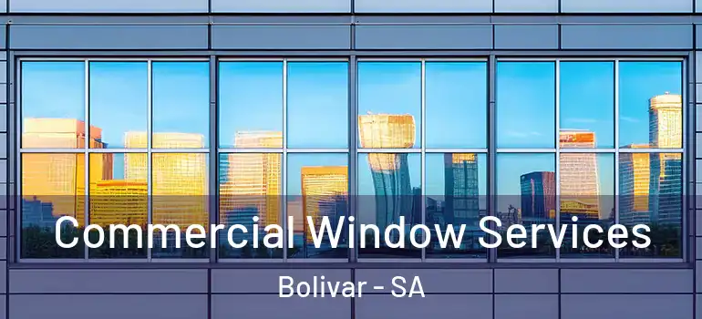 Commercial Window Services Bolivar - SA