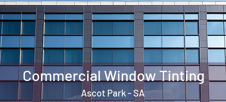 Commercial Window Tinting Ascot Park - SA