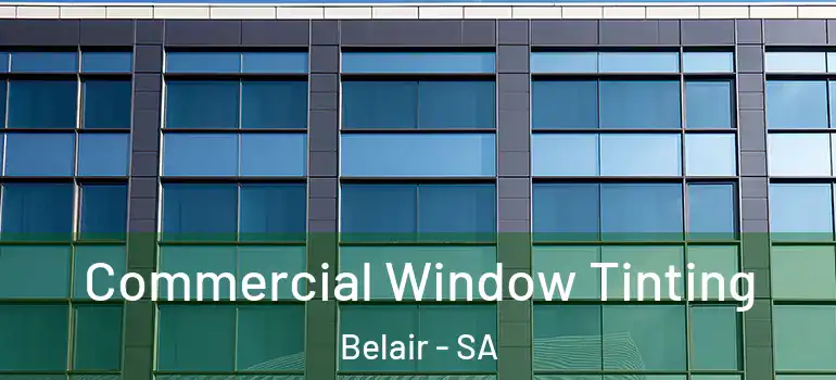 Commercial Window Tinting Belair - SA