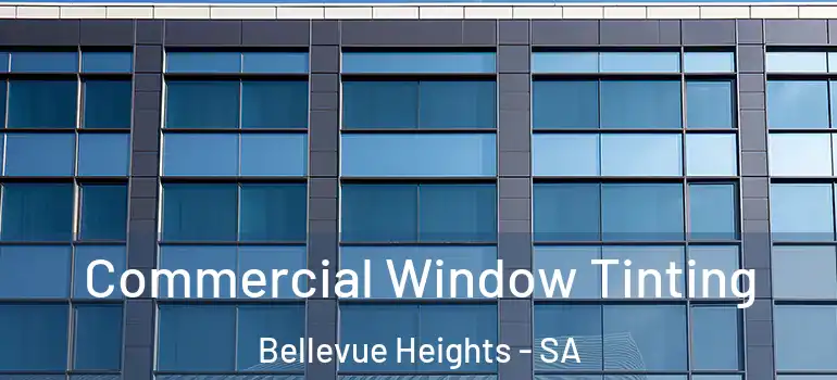 Commercial Window Tinting Bellevue Heights - SA