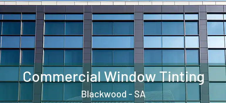 Commercial Window Tinting Blackwood - SA