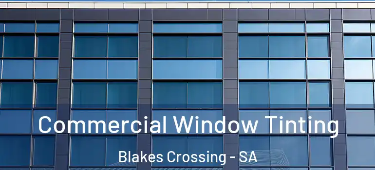 Commercial Window Tinting Blakes Crossing - SA