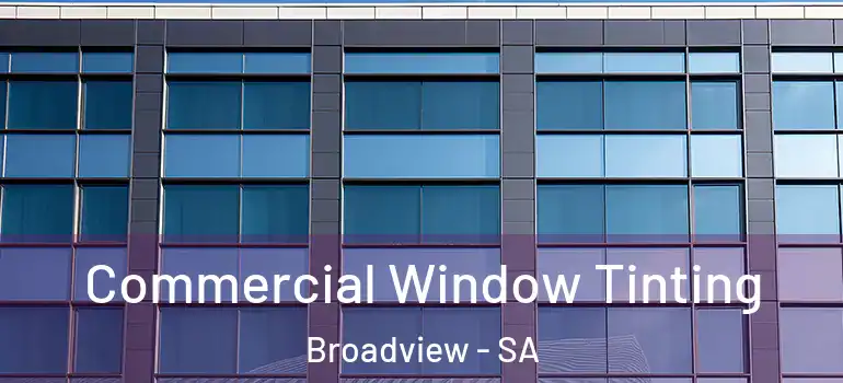 Commercial Window Tinting Broadview - SA