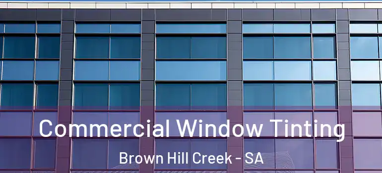 Commercial Window Tinting Brown Hill Creek - SA
