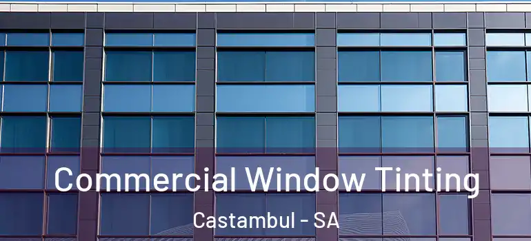 Commercial Window Tinting Castambul - SA