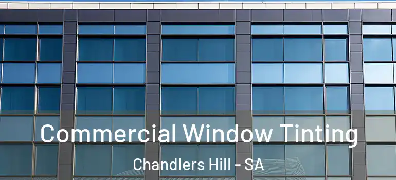 Commercial Window Tinting Chandlers Hill - SA