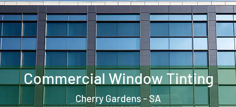 Commercial Window Tinting Cherry Gardens - SA