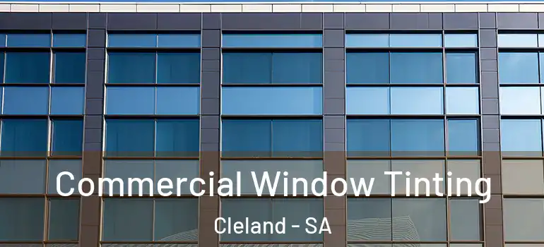 Commercial Window Tinting Cleland - SA