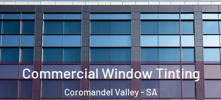 Commercial Window Tinting Coromandel Valley - SA