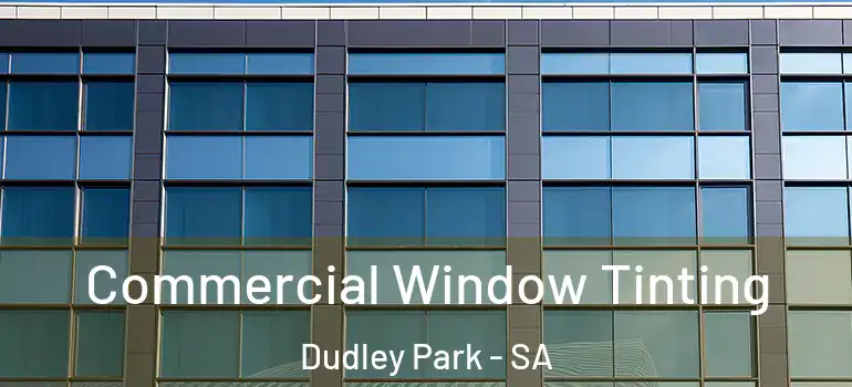 Commercial Window Tinting Dudley Park - SA