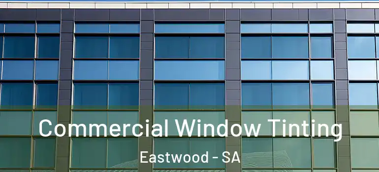 Commercial Window Tinting Eastwood - SA