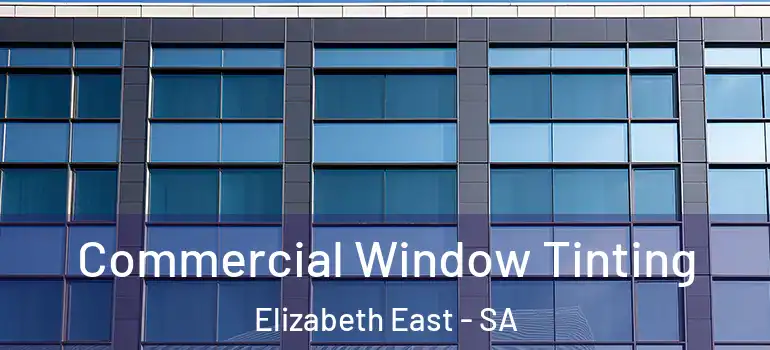 Commercial Window Tinting Elizabeth East - SA